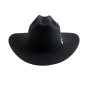 TEXANA CASIMIRO WEST HORMA PANTHER LANA PREMIUM