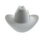 TEXANA CASIMIRO WEST HORMA SONORA LANA PREMIUM