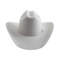 TEXANA CASIMIRO WEST HORMA RAIDER PELO DE CONEJO EXTRA FINO